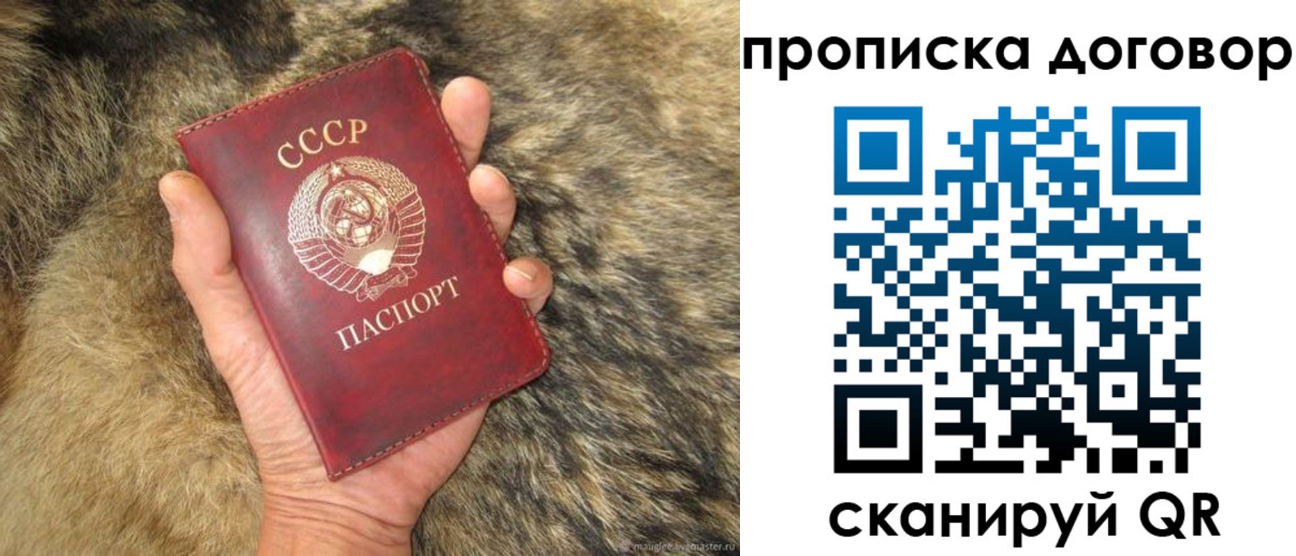 прописка регистрация в Данкове